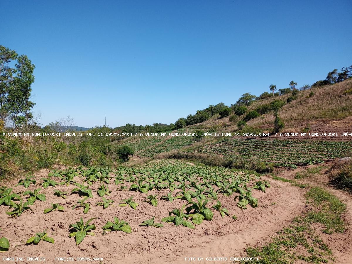 Loteamento e Condomínio à venda, 15500m² - Foto 4