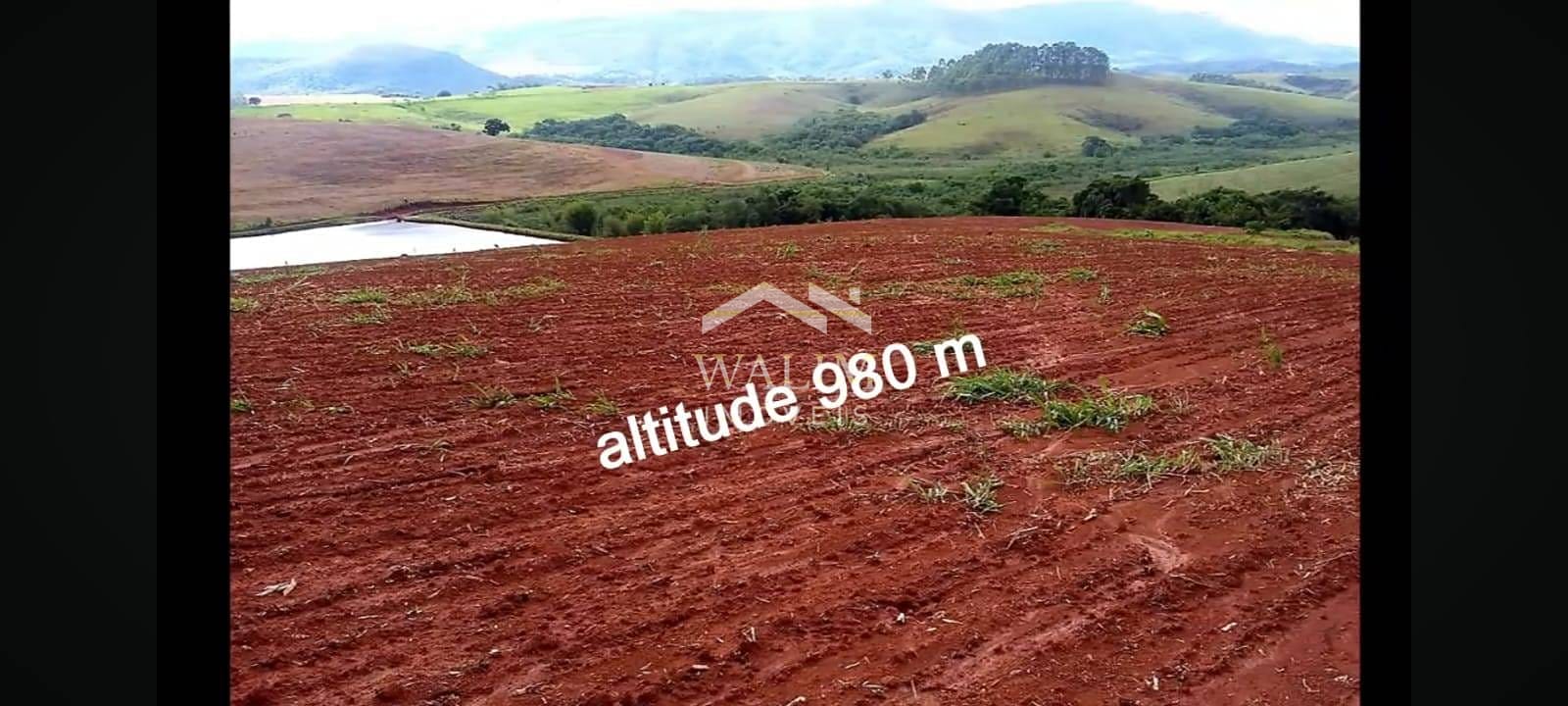 Fazenda-Sítio-Chácara, 1520 hectares - Foto 2