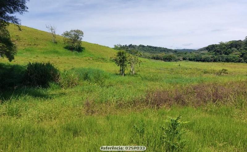 Fazenda à venda com 1 quarto, 80000m² - Foto 11