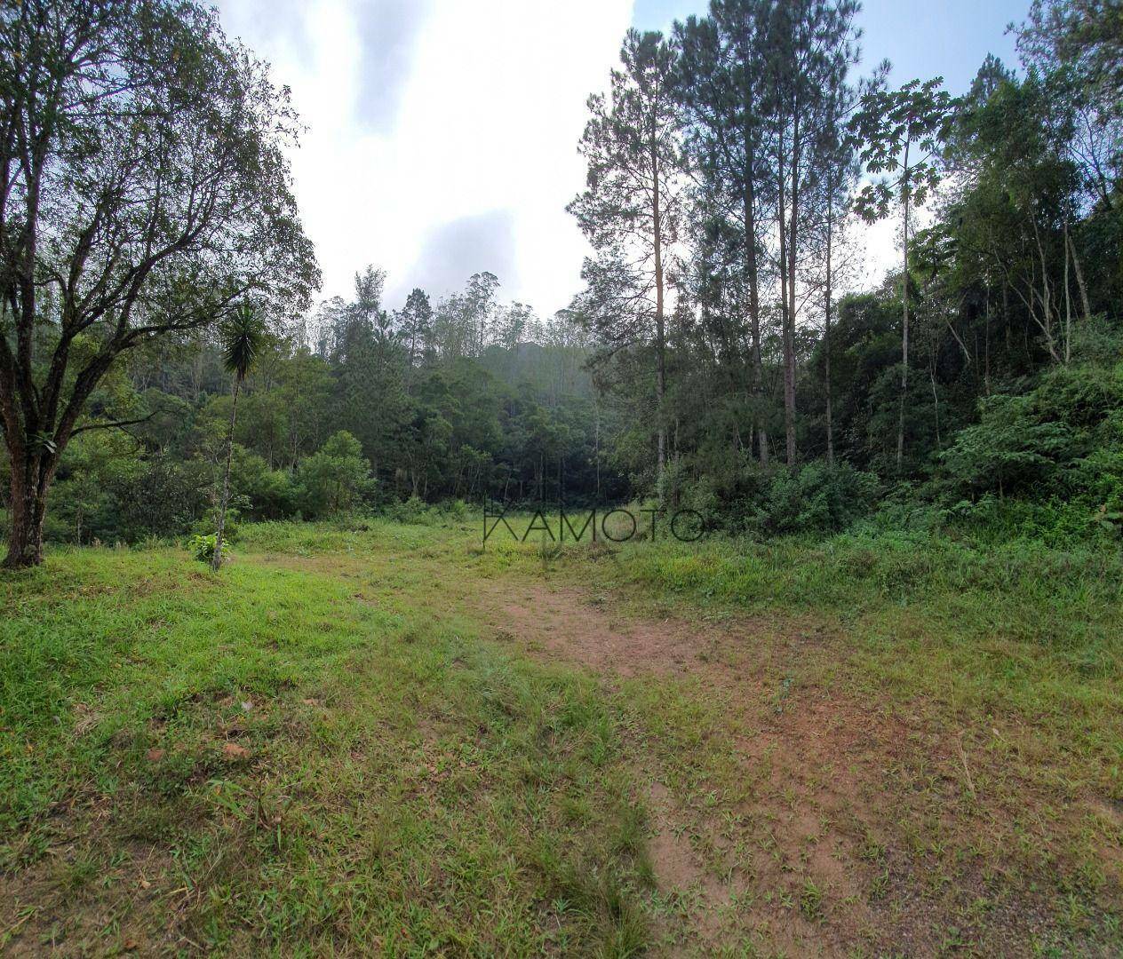 Chácara à venda com 12 quartos, 195724M2 - Foto 29