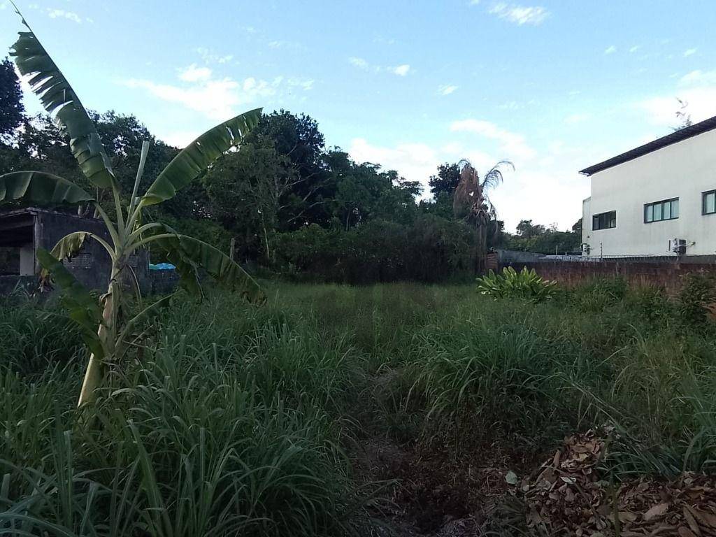 Terreno, 1000 m² - Foto 6