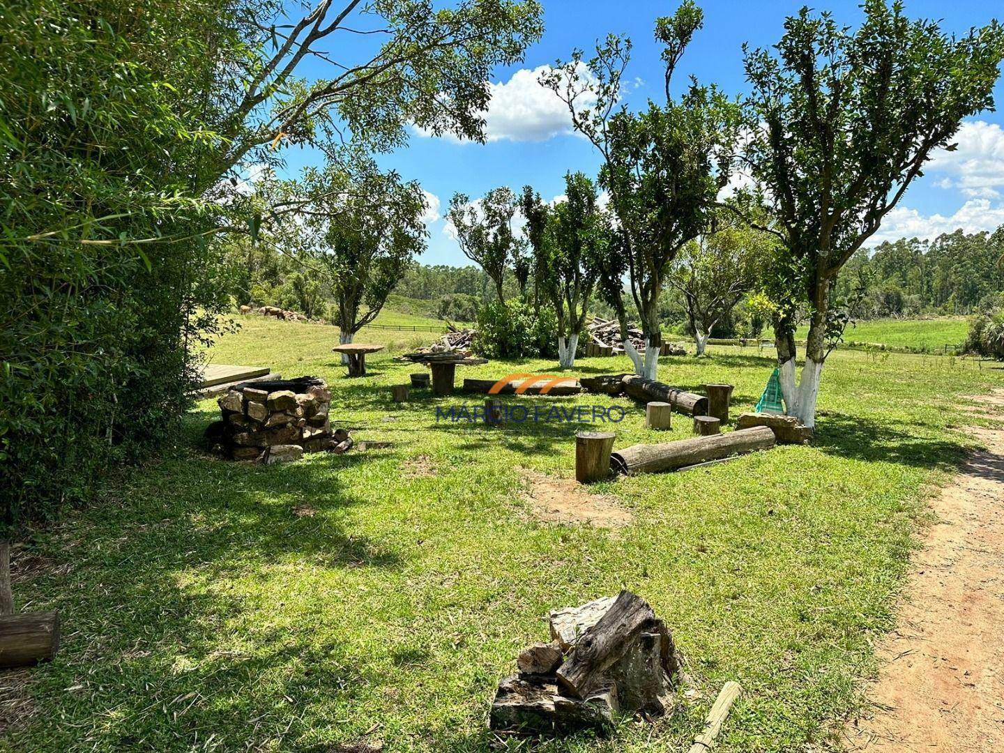 Fazenda à venda, 1065000M2 - Foto 3