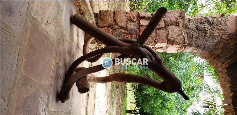 Fazenda, 44 hectares - Foto 35