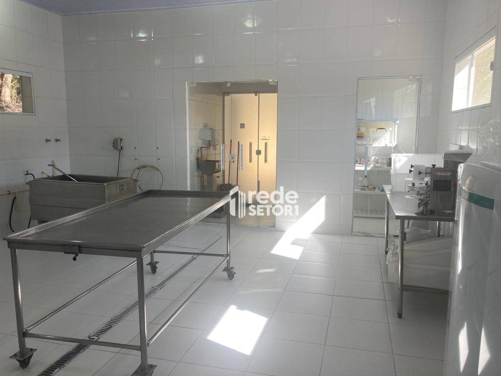 Fazenda à venda com 5 quartos, 383100M2 - Foto 30