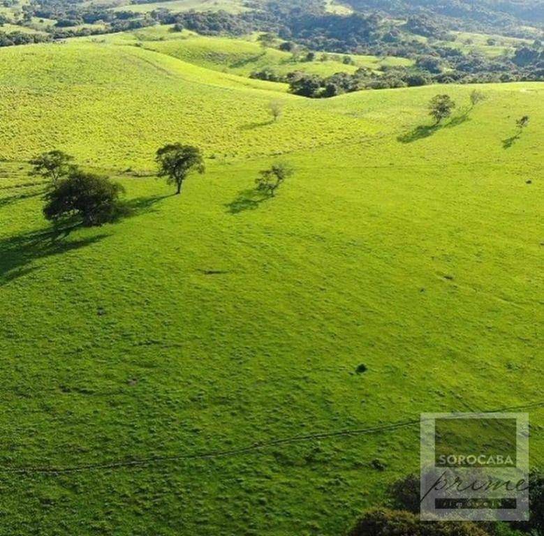 Fazenda à venda, 6050000M2 - Foto 15