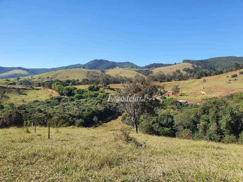 Terreno à venda, 3750M2 - Foto 4