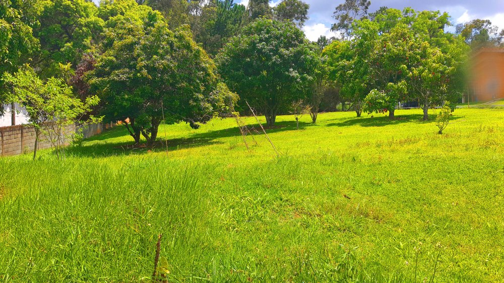 Fazenda à venda com 2 quartos, 3768m² - Foto 29