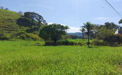 Fazenda à venda com 2 quartos, 47000m² - Foto 17