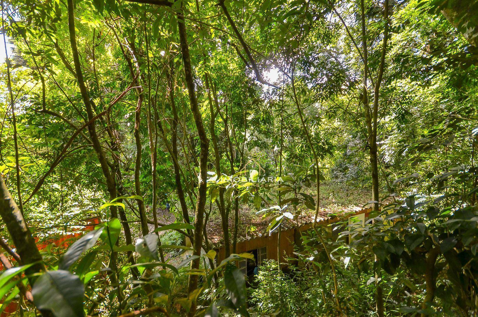 Terreno à venda, 5600M2 - Foto 25