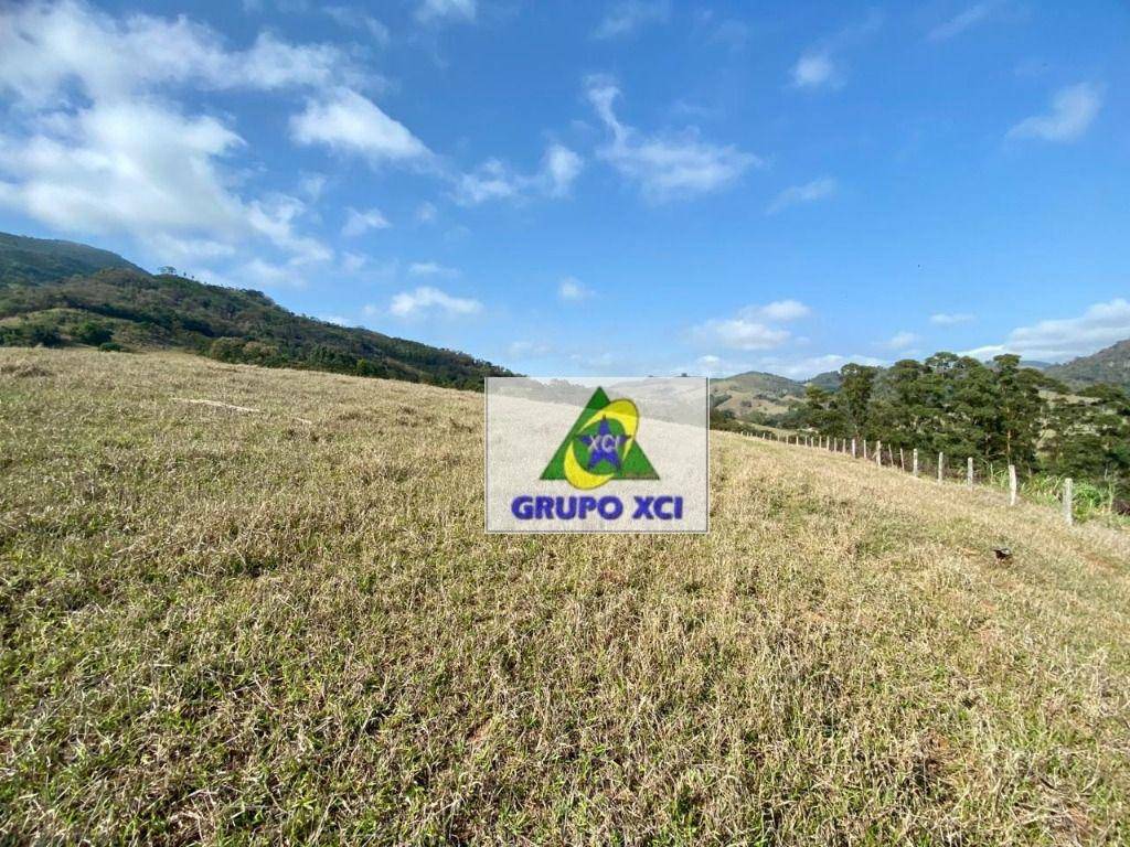 Sítio à venda com 3 quartos, 484000M2 - Foto 15