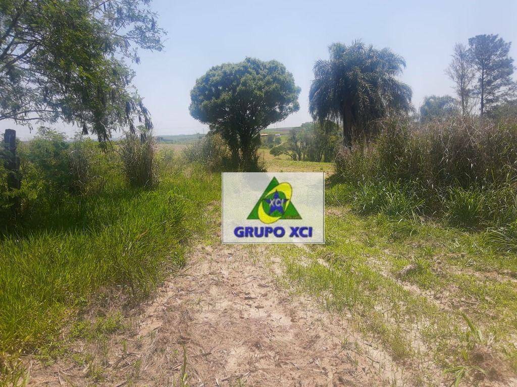 Sítio, 2 quartos, 10 hectares - Foto 12