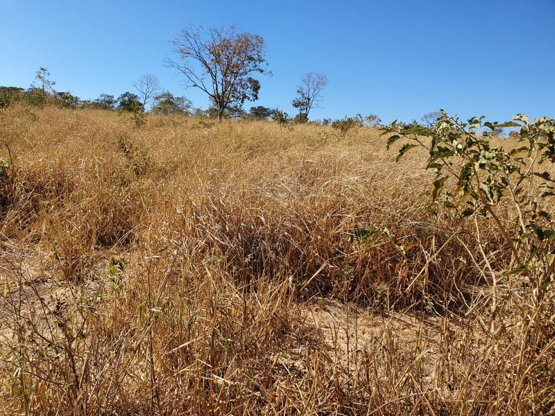 Fazenda à venda, 1613m² - Foto 26