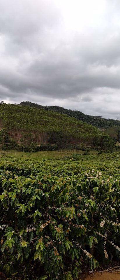 Fazenda à venda, 1452000M2 - Foto 56