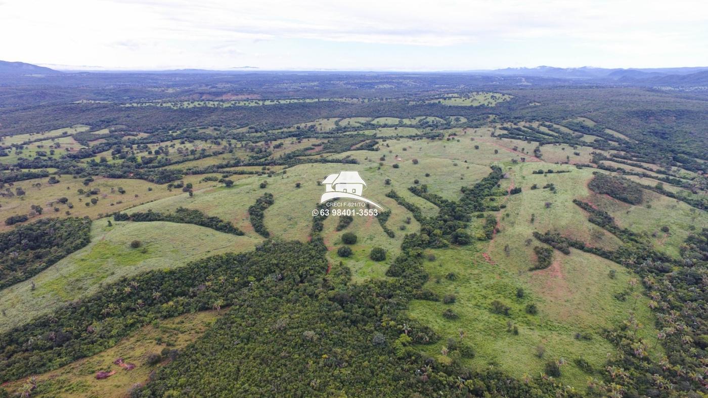 Fazenda à venda, 1m² - Foto 6