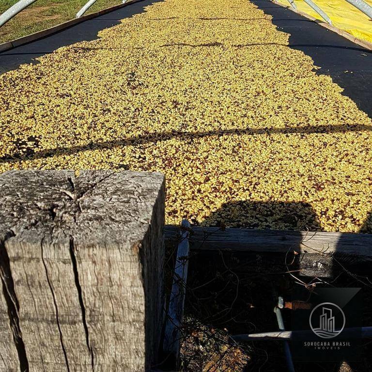 Fazenda à venda com 20 quartos, 7986000M2 - Foto 18