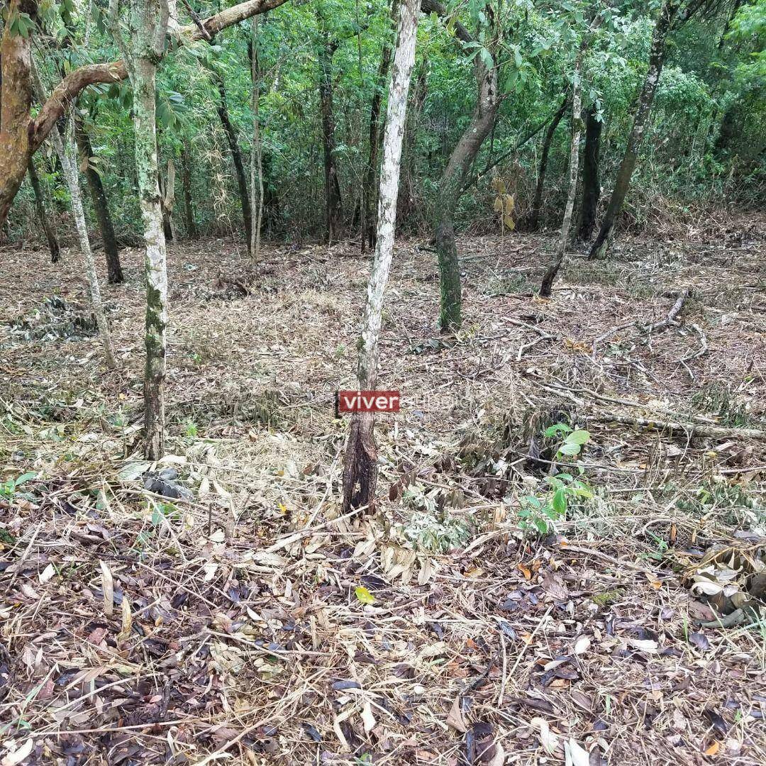 Terreno à venda, 3150M2 - Foto 4