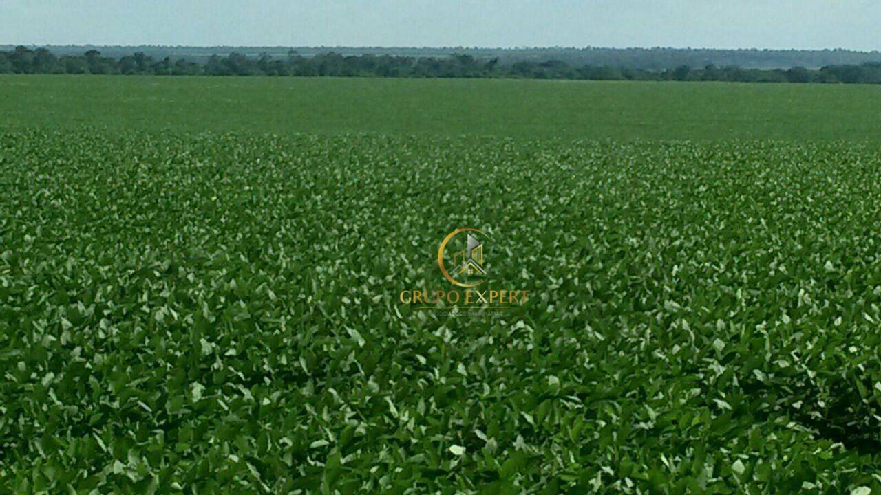 Fazenda à venda com 3 quartos, 159120000M2 - Foto 1