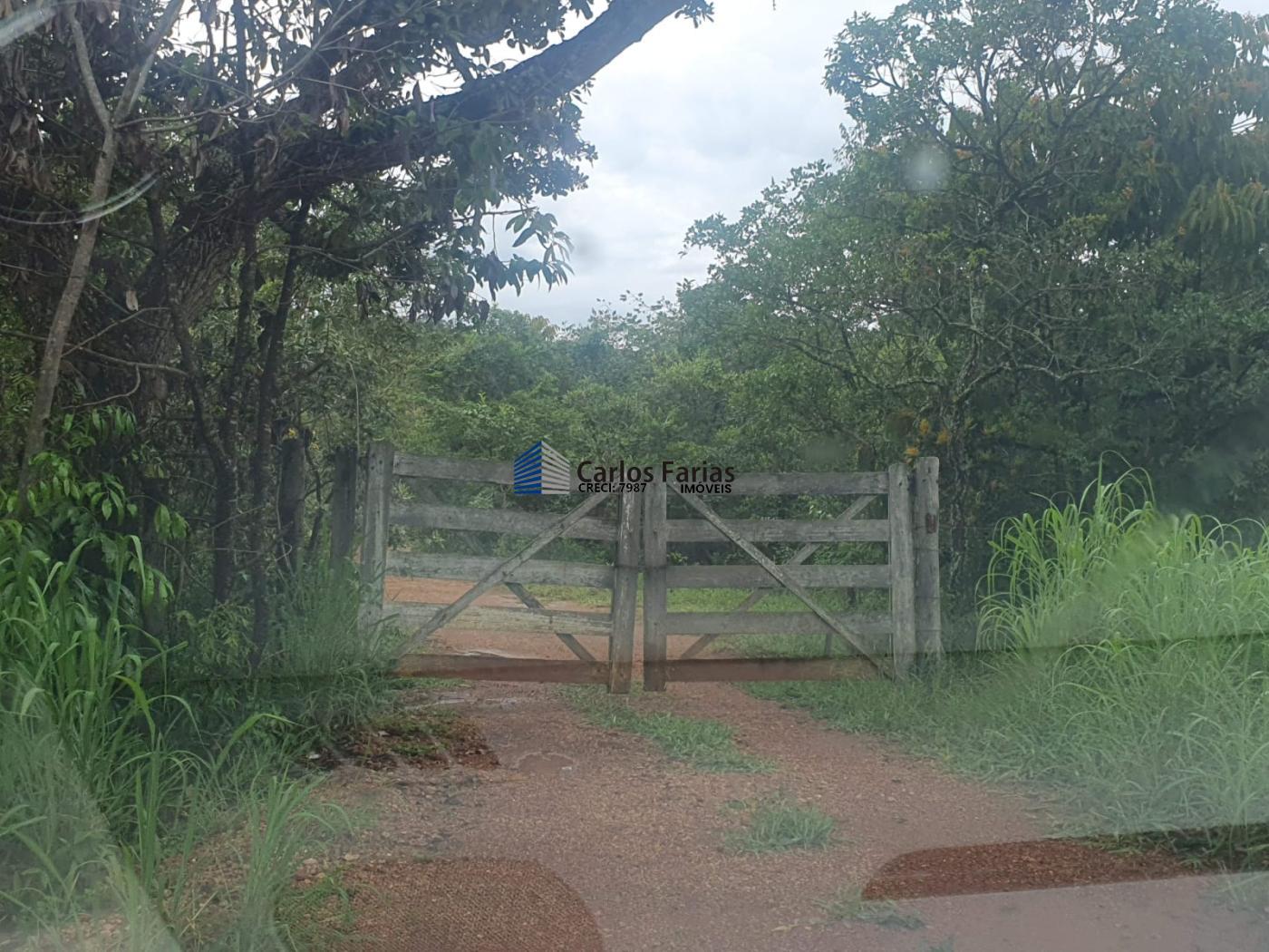 Fazenda à venda com 4 quartos, 300m² - Foto 40