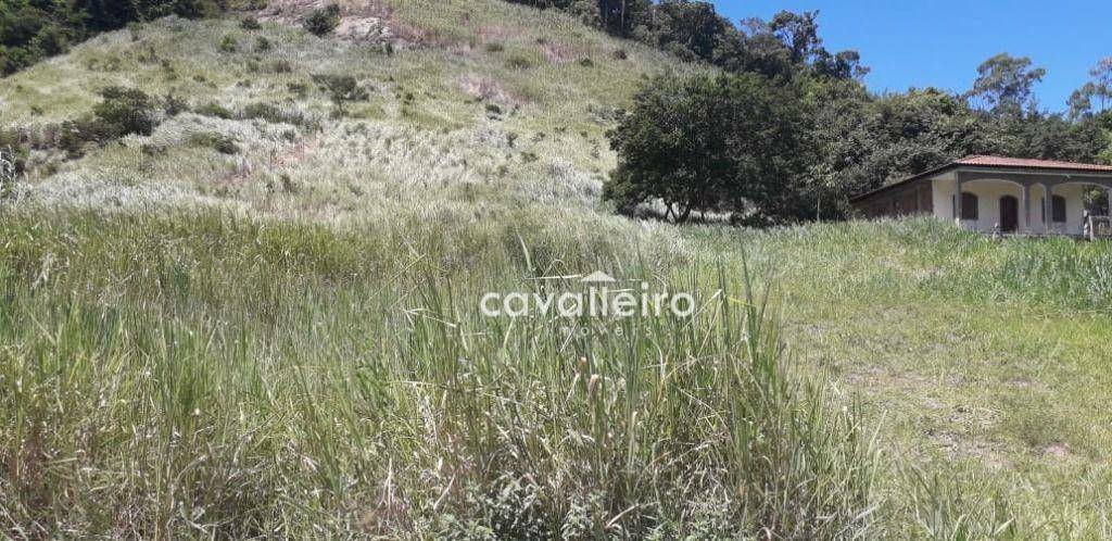 Terreno à venda, 1965M2 - Foto 1