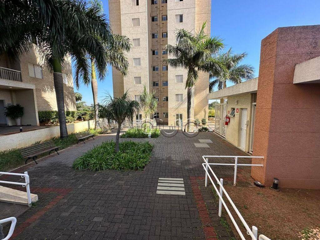 Apartamento à venda e aluguel com 3 quartos, 70m² - Foto 28