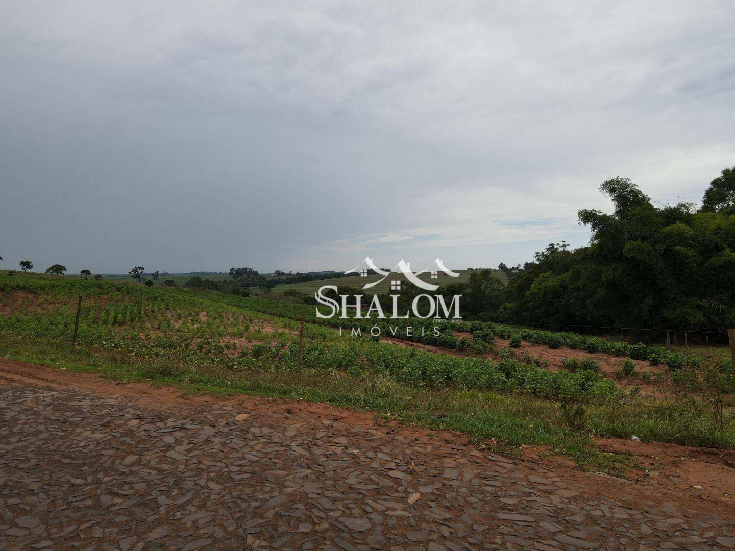 Fazenda à venda, 121000M2 - Foto 6