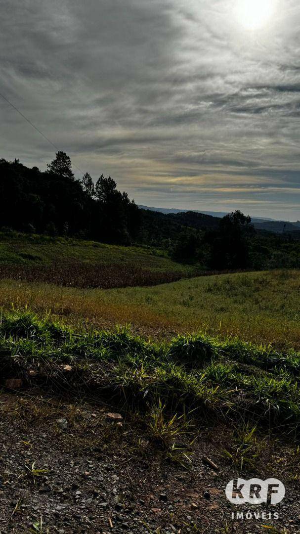 Terreno à venda, 36300M2 - Foto 2