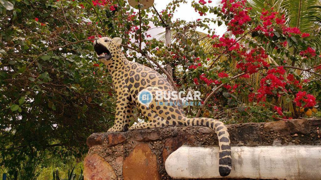 Fazenda, 44 hectares - Foto 28