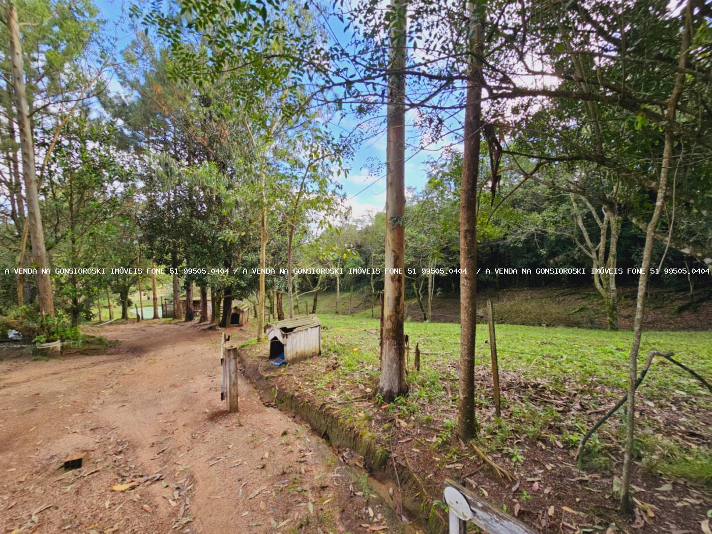 Sítio à venda, 30000m² - Foto 22