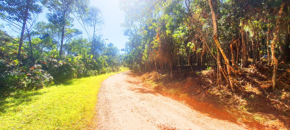 Terreno à venda, 500m² - Foto 16