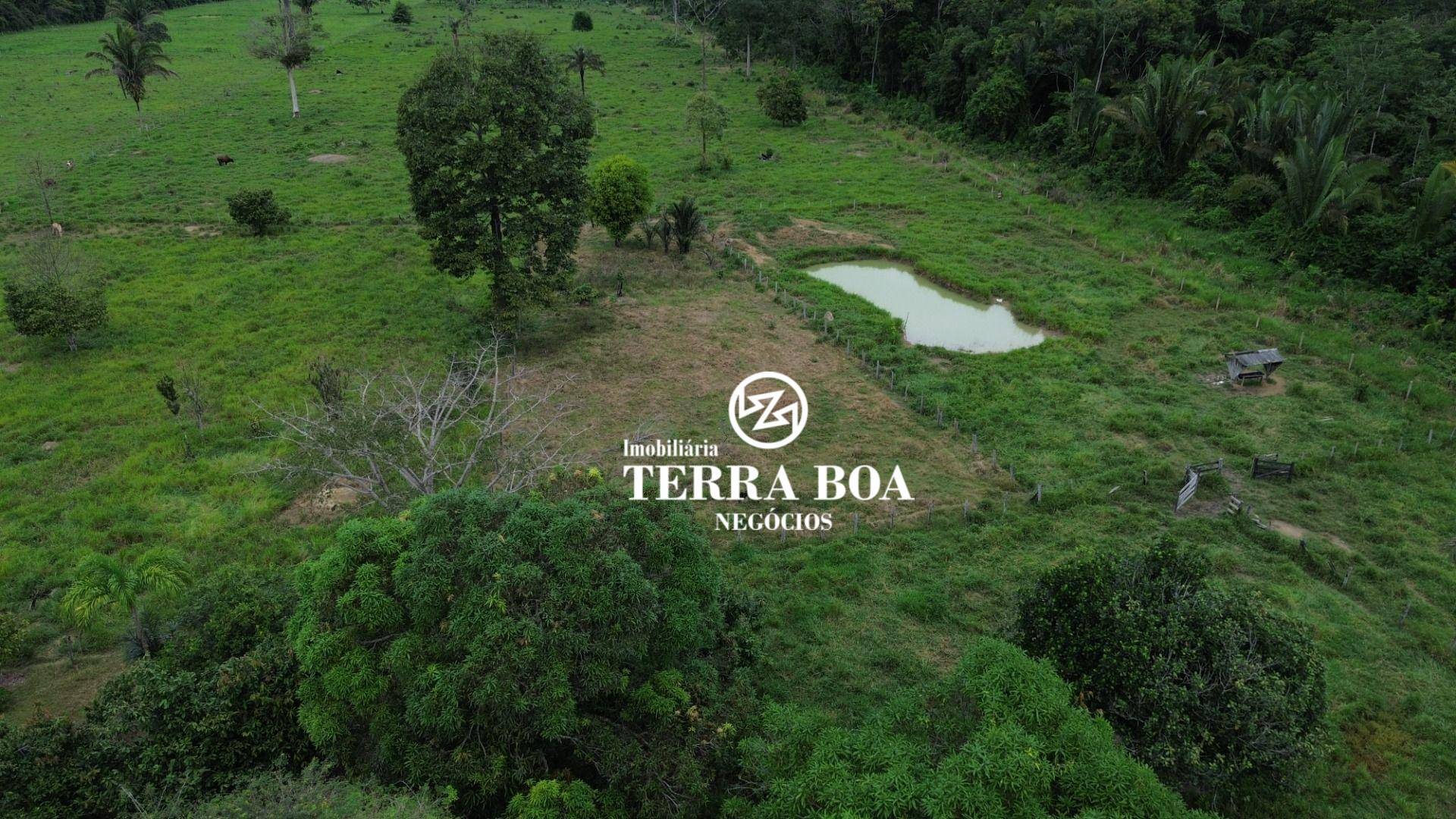 Chácara à venda, 120000M2 - Foto 6