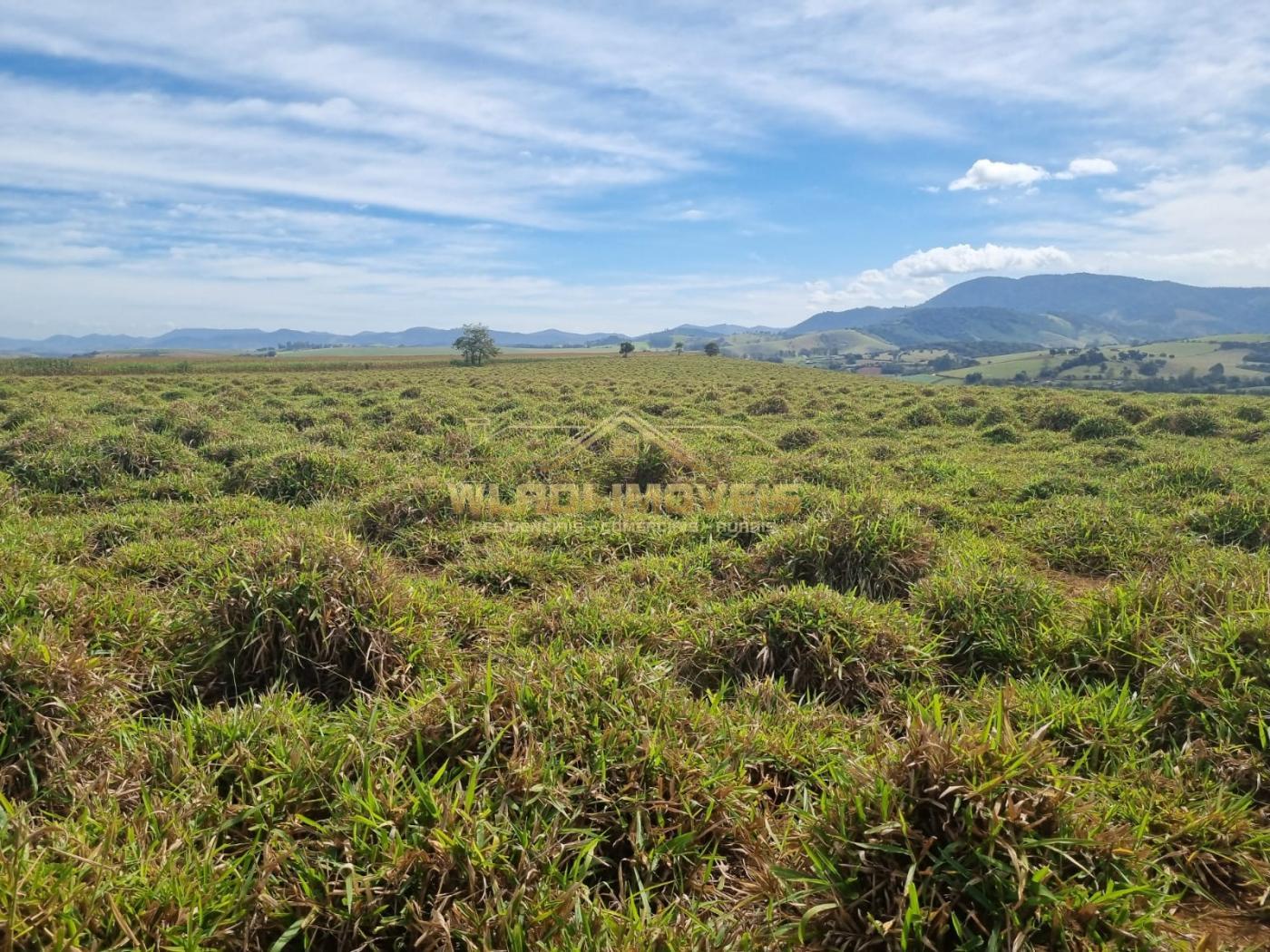 Fazenda à venda, 209m² - Foto 23