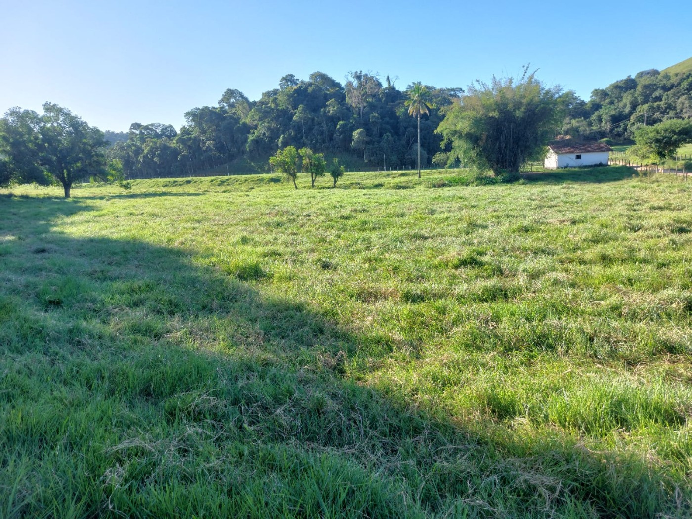 Fazenda à venda com 4 quartos, 34m² - Foto 30