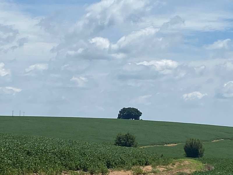 Fazenda à venda, 140m² - Foto 8