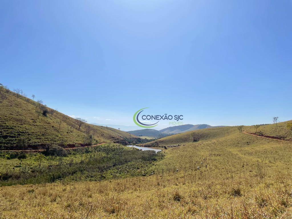 Fazenda à venda com 7 quartos, 5154600M2 - Foto 5