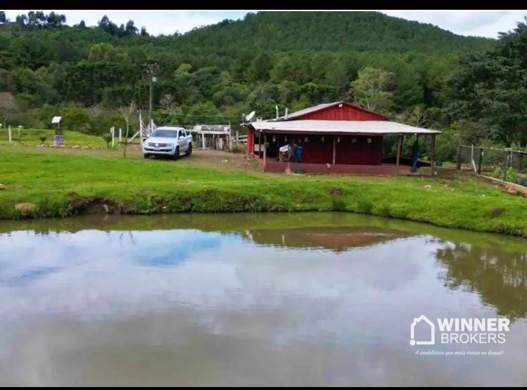 Chácara, 4 quartos, 4 hectares - Foto 3
