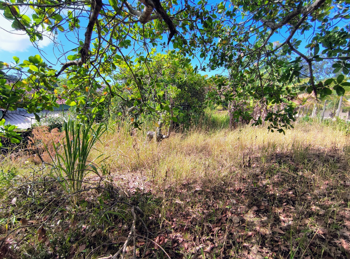 Terreno à venda, 450m² - Foto 24