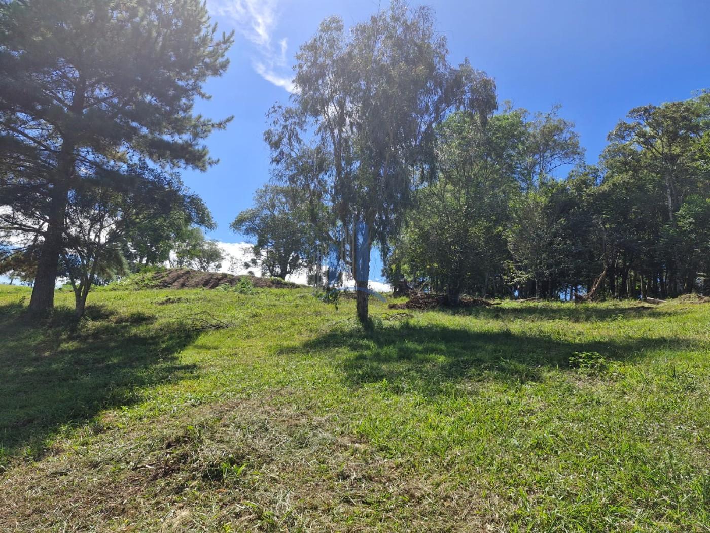 Terreno à venda, 1000m² - Foto 8