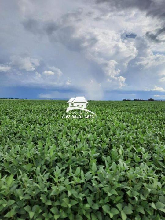 Fazenda-Sítio-Chácara, 1 m² - Foto 1