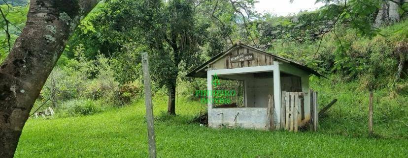 Fazenda à venda com 10 quartos, 1500m² - Foto 12