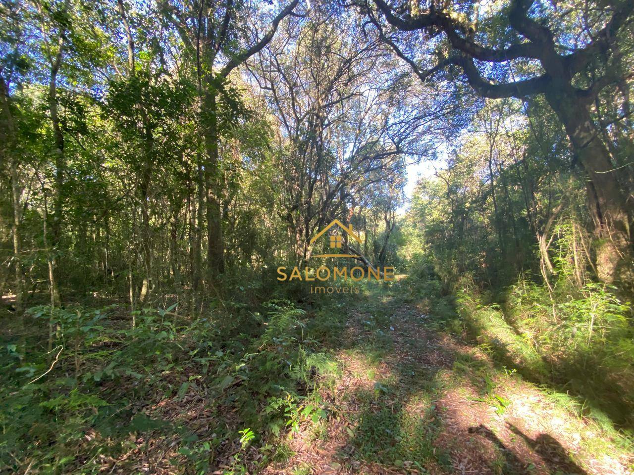 Terreno, 1100 m² - Foto 2