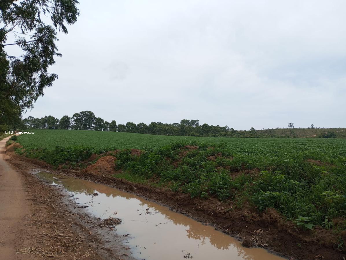 Fazenda à venda, 294m² - Foto 19