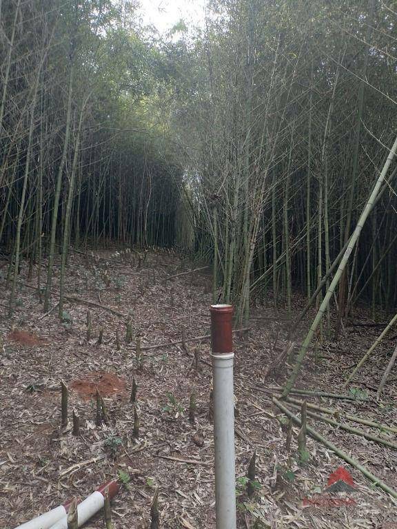 Terreno à venda, 101200M2 - Foto 7