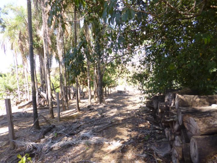 Fazenda à venda - Foto 25