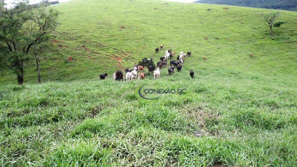 Fazenda à venda com 3 quartos, 2970000M2 - Foto 25