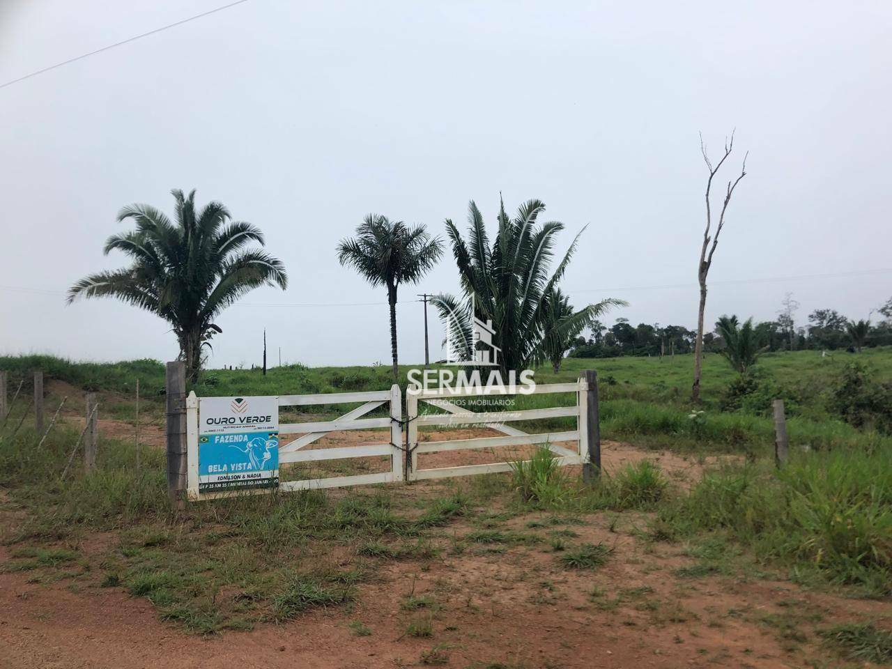 Fazenda à venda, 252M2 - Foto 5