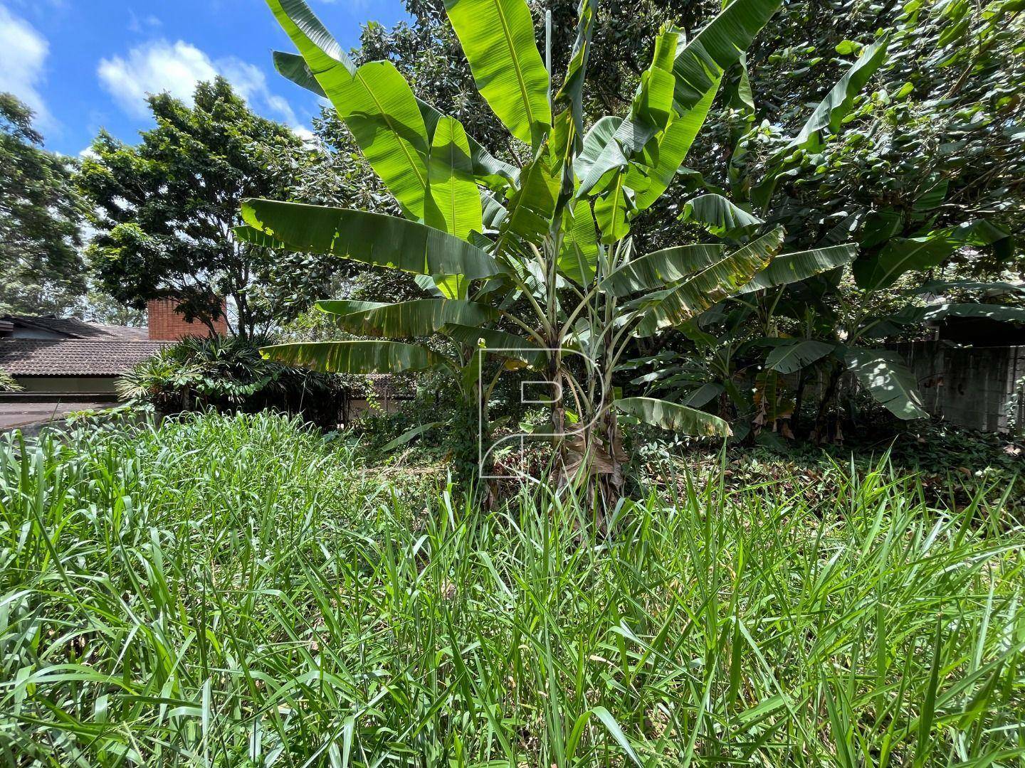 Loteamento e Condomínio à venda, 1005M2 - Foto 3