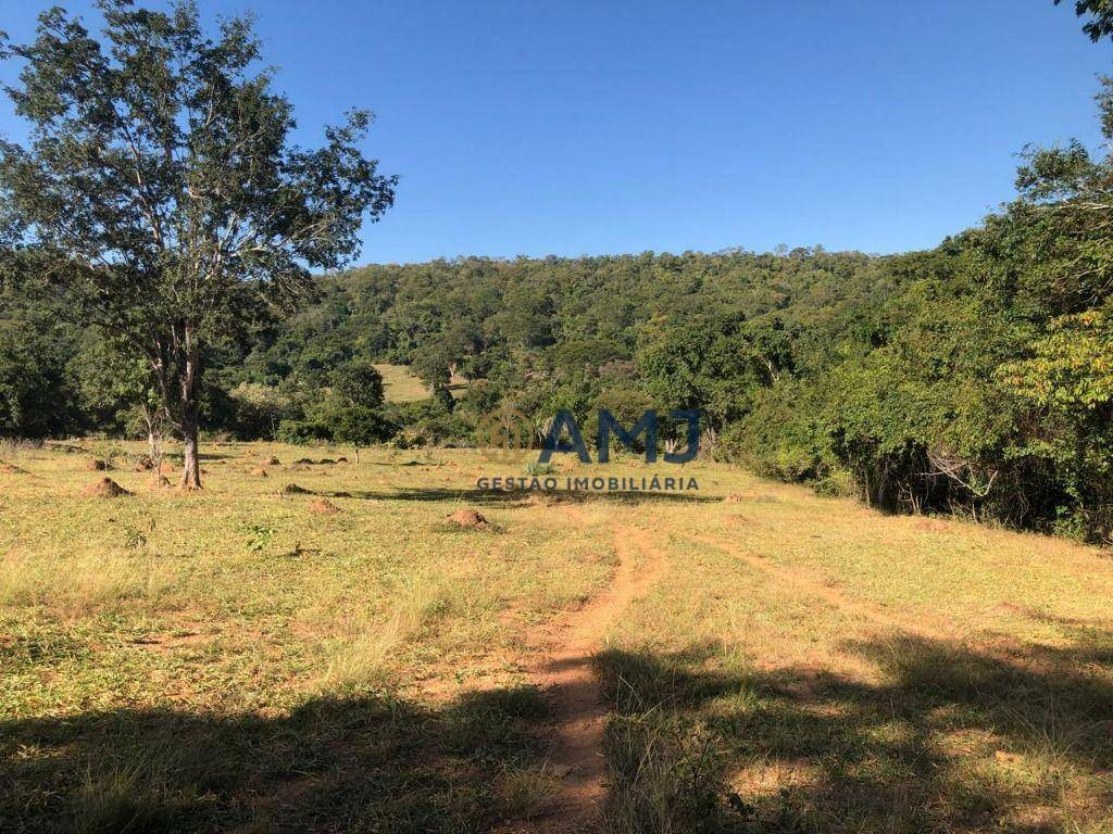 Fazenda à venda, 229899M2 - Foto 14