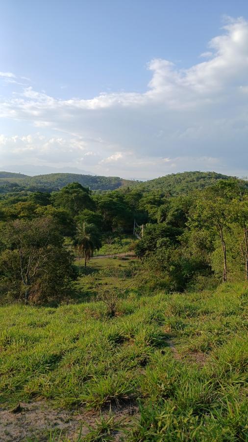 Fazenda à venda com 3 quartos, 62381m² - Foto 8