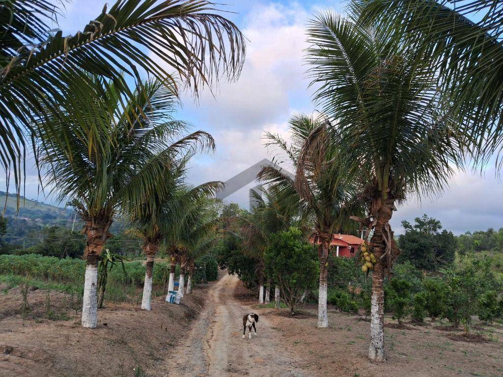 Chácara à venda com 2 quartos, 12000000M2 - Foto 17