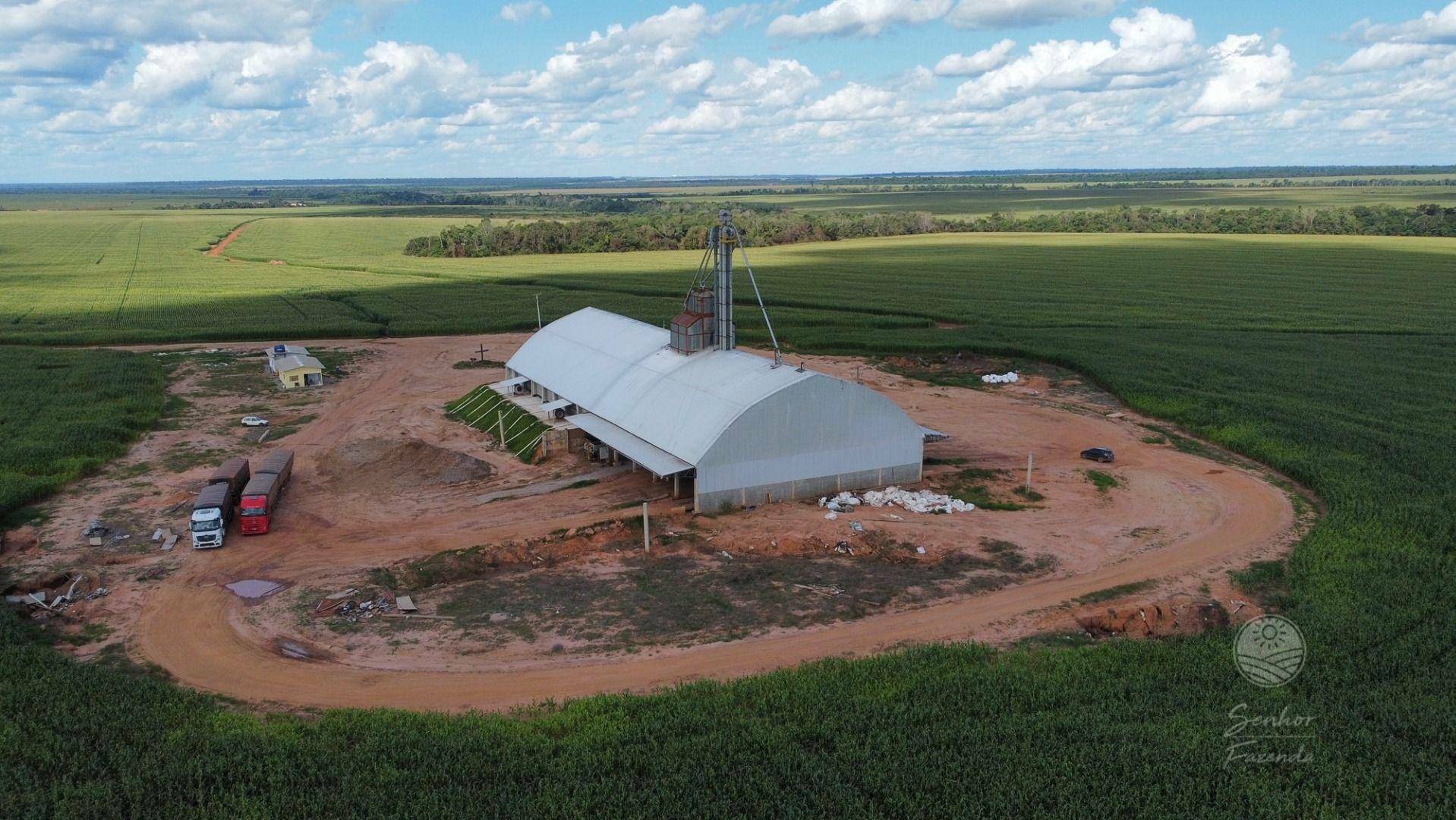 Fazenda-Sítio-Chácara, 4400 hectares - Foto 4